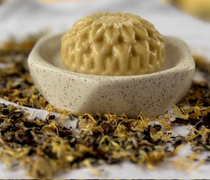 Kokum and Aloe Nourishing Conditioner Bar